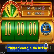 fumar canela da brisa